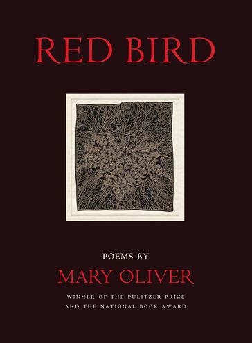 Red Bird - Mary Oliver