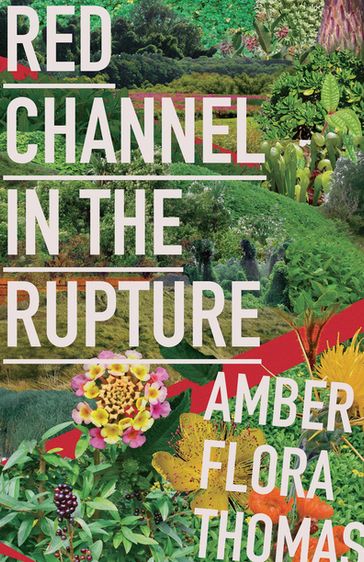 Red Channel in the Rupture - Amber Flora Thomas