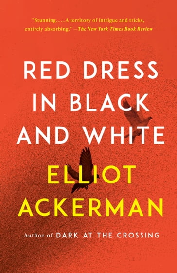Red Dress in Black and White - Elliot Ackerman