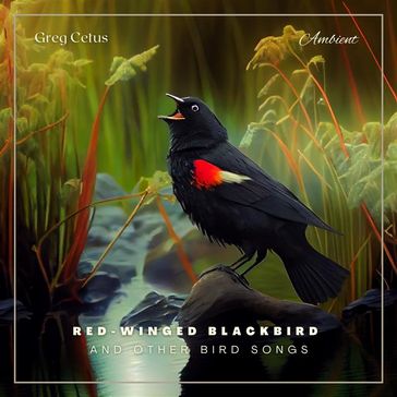 Red-winged Blackbird and Other Bird Songs - Greg Cetus