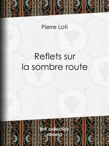 Reflets sur la sombre route - Pierre Loti