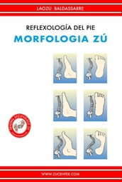 Reflexología del pie - Morfologia Zú