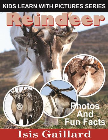 Reindeer: Photos and Fun Facts for Kids - Isis Gaillard