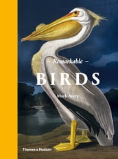 Remarkable Birds