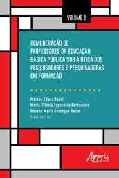 Remuneração de Professores da Educação Básica Pública Sob a Ótica dos Pesquisadores e Pesquisadoras em Formação: Volume 3