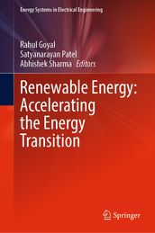 Renewable Energy: Accelerating the Energy Transition