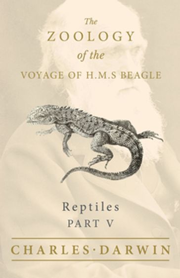 Reptiles - Part V - The Zoology of the Voyage of H.M.S Beagle - Charles Darwin - Thomas Bell