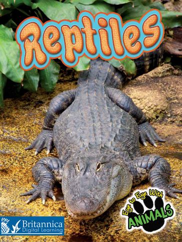 Reptiles - Tom Greve