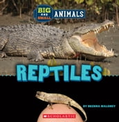 Reptiles (Wild World: Big and Small Animals)
