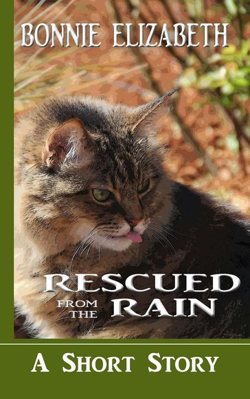 Rescued From the Rain - Bonnie Elizabeth
