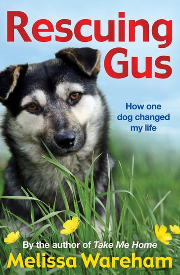 Rescuing Gus - Melissa Wareham