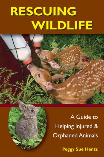 Rescuing Wildlife - Peggy Hentz