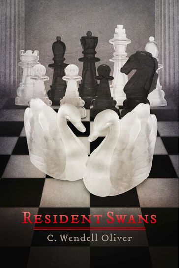 Resident Swans - Clayton Wendell Oliver