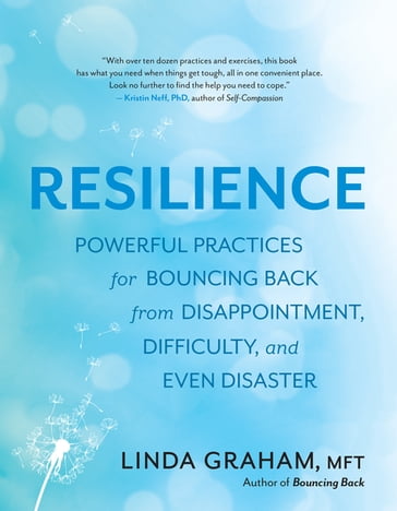 Resilience - Linda Graham