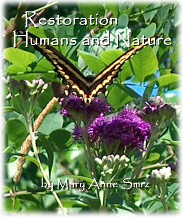Restoration, Humans and Nature - Mary Anne Smrz