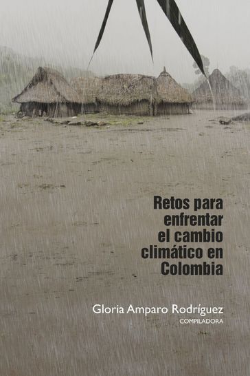 Retos para enfrentar el cambio climático en Colombia - Gloria Amparo Rodríguez