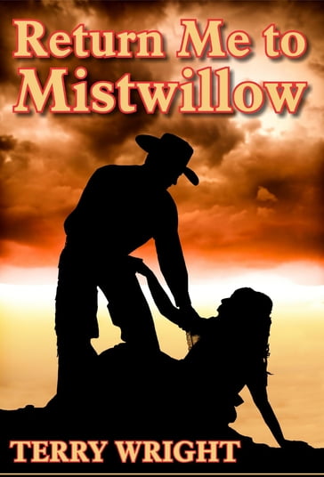 Return Me to Mistwillow - Terry Wright