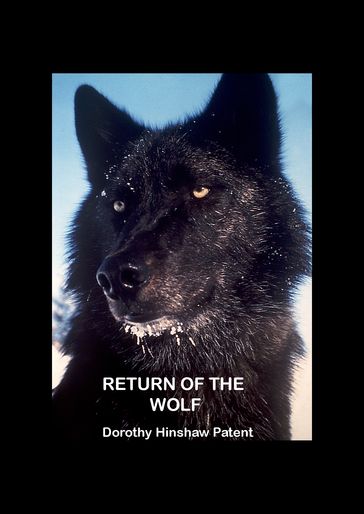 Return of the Wolf - Dorothy Patent