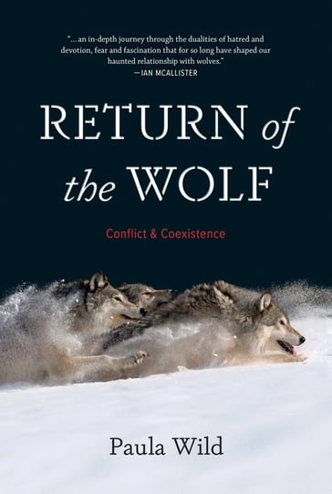 Return of the Wolf - Paula Wild