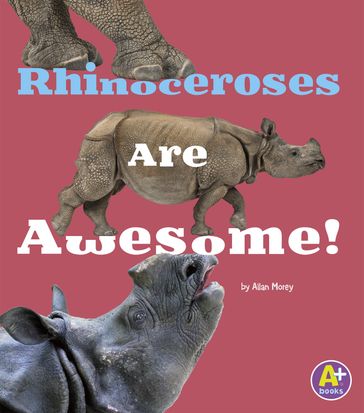 Rhinoceroses Are Awesome! - Allan Morey