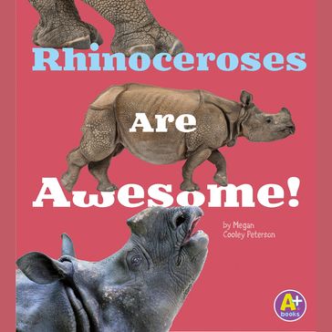 Rhinoceroses Are Awesome! - Allan Morey