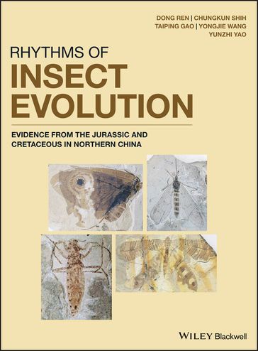 Rhythms of Insect Evolution