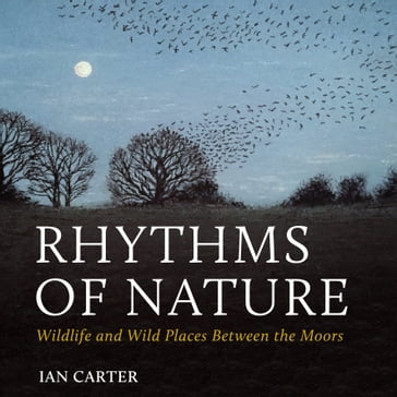 Rhythms of Nature - Ian Carter
