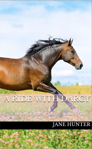 A Ride with Mr. Darcy: A Pride and Prejudice Sensual Intimate - Jane Hunter