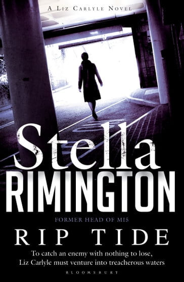 Rip Tide - Stella Rimington