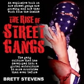 Rise of Street Gangs, The