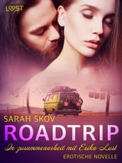 Roadtrip Erotische Novelle