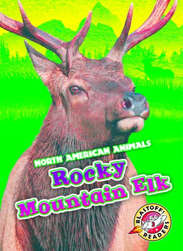 Rocky Mountain Elk - Rebecca Sabelko