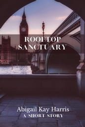 Rooftop Sanctuary