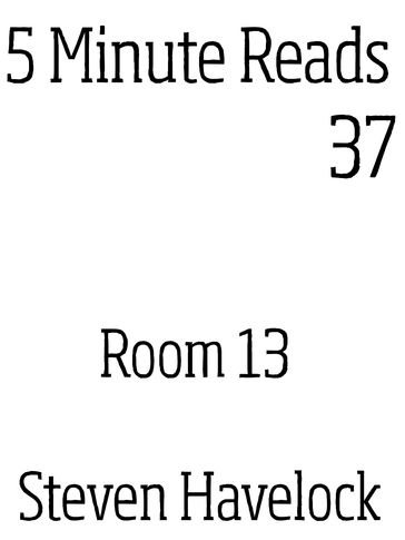 Room 13 - Steven Havelock