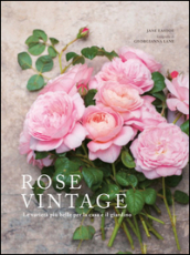 Rose vintage. Le varietà più belle per la casa e il giardino