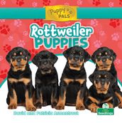 Rottweiler Puppies