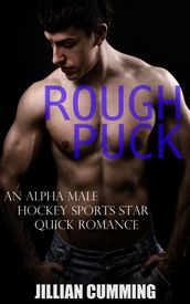 Rough Puck