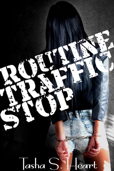 Routine Traffic Stop-volume 1 - Tasha S. Heart
