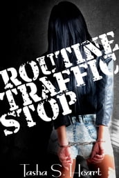 Routine Traffic Stop-volume 1