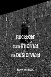 Ruckkehr zum Internat im Dusterwald