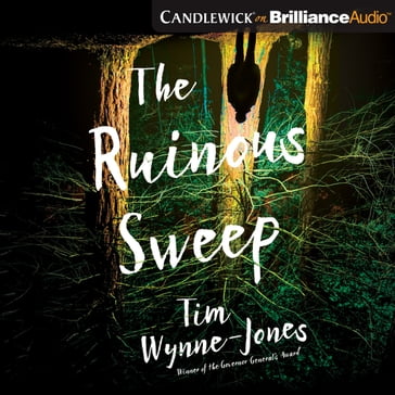 Ruinous Sweep, The - Tim Wynne-Jones