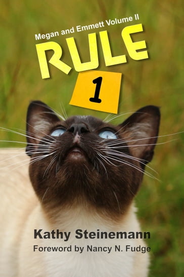 Rule 1: Megan and Emmett Volume II - Kathy Steinemann