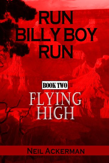 Run Billy Boy Run, Book Two: Flying High - Neil Ackerman
