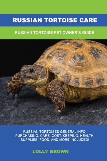 Russian Tortoise Care - Lolly Brown