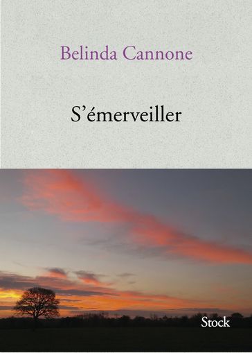 S'émerveiller - Belinda Cannone