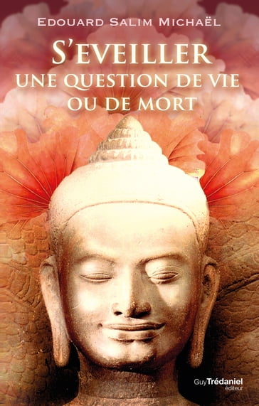 S'éveiller, une question de vie ou de mort - Edouard-Salim Michael