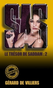 SAS 164 Le trésor de Saddam T2