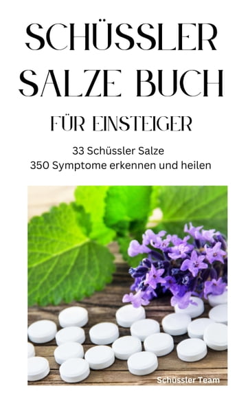 SCHÜSSLER SALZE BUCH FÜR EINSTEIGER - 33 Schüssler Salze & 350 Symptome erkennen und heilen - Schussler Salze Team