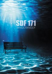 SDF 171