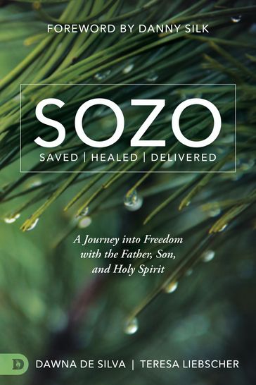 SOZO Saved Healed Delivered - Dawna DeSilva - Teresa Liebscher
